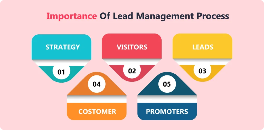 importence_of_lead_management_process