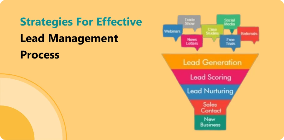 strategies_for_effective_lead_management_process