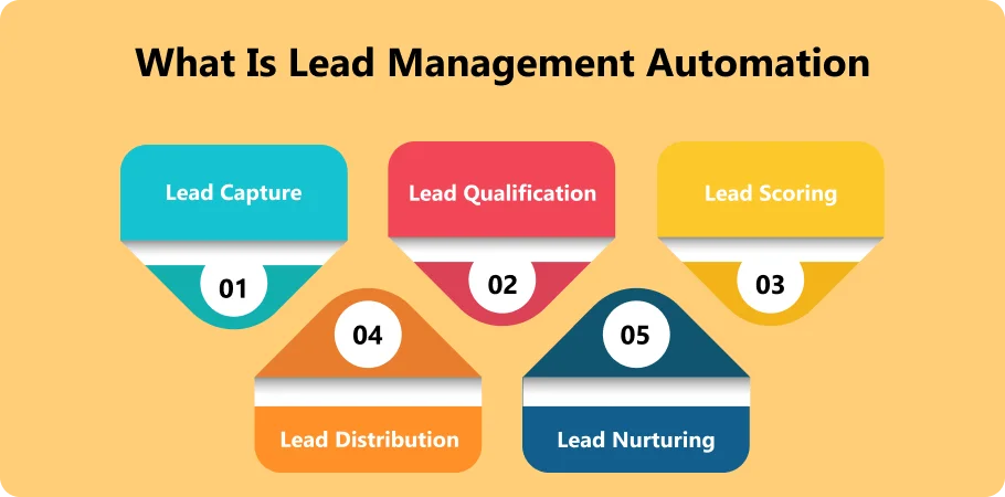 what_is_lead_management_automation