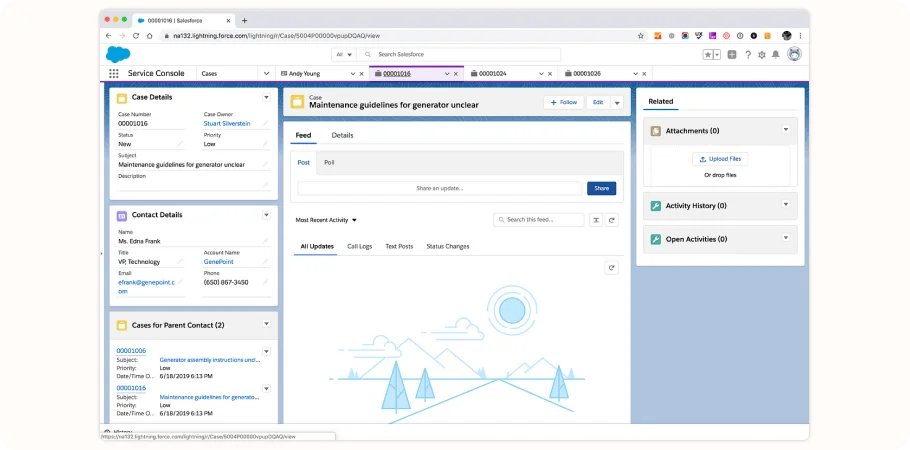 Salesforce Essentials