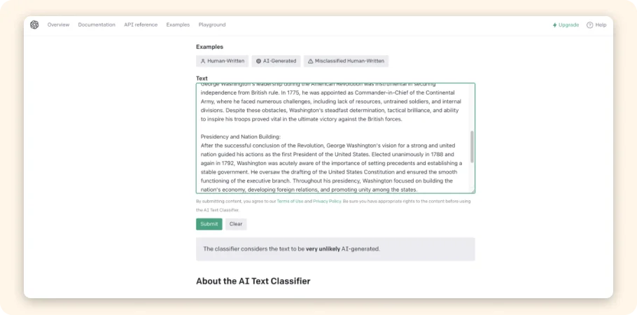 AI Text Classifier